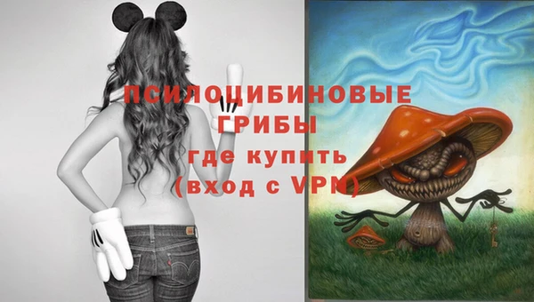 кокс Алексин