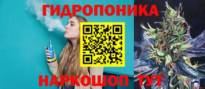 индика Ликино-Дулёво