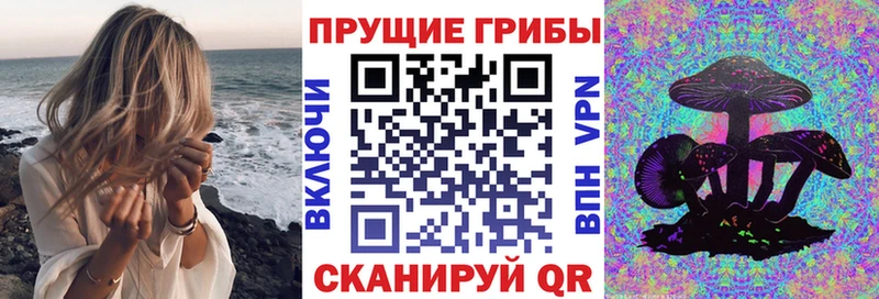 Псилоцибиновые грибы прущие грибы  kraken онион  Димитровград  купить наркотик 