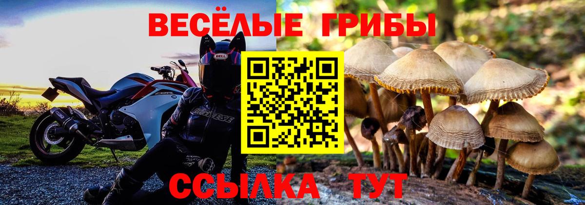 Димитровград  Галлюциногенные грибы мицелий  Галлюциногенные грибы Psilocybine cubensis  купить наркотики цена  Вход с VPN 