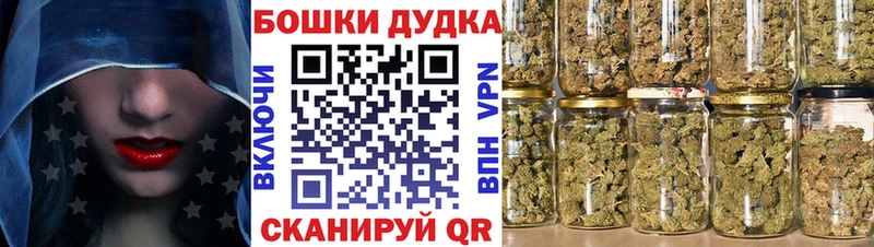 ссылка на мегу сайт  Димитровград  Марихуана AK-47  где купить наркоту 
